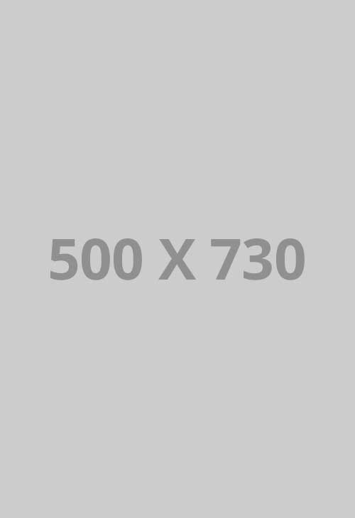 pofo 500x730-ph
